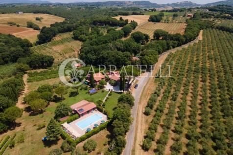Splendido Casale con