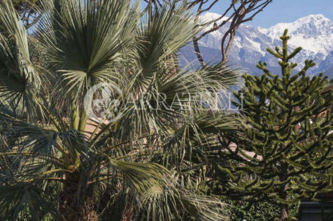 Forte dei Marmi Sple