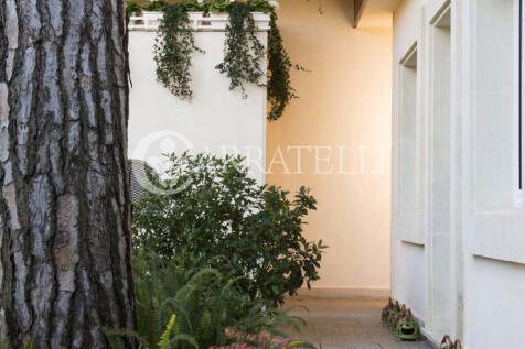 Forte dei Marmi Sple