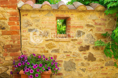 Villa con Borgo Pisc