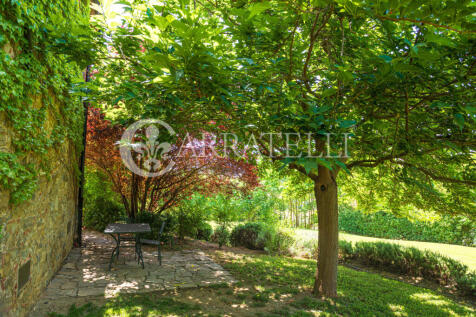 Villa con Borgo Pisc
