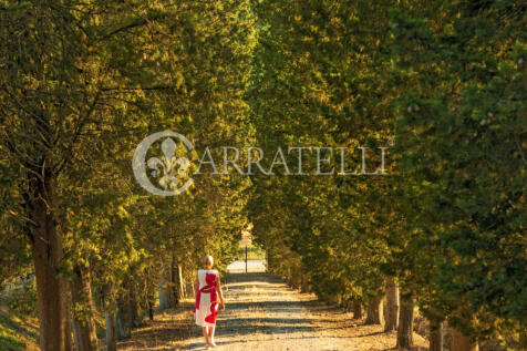 Villa con Borgo Pisc