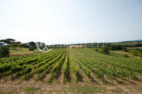 Wine Resort con Cant