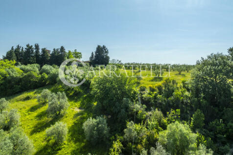 Antica Tenuta da Ris