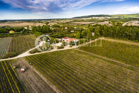Agriturismo con Azie