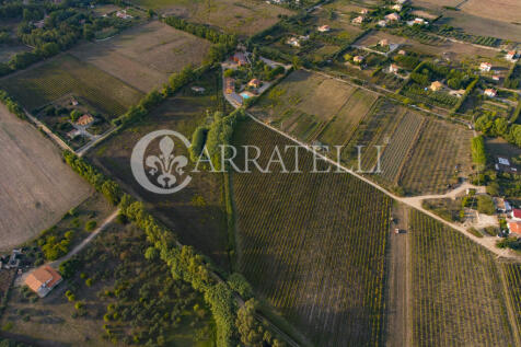 Agriturismo con Azie