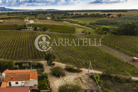 Agriturismo con Azie