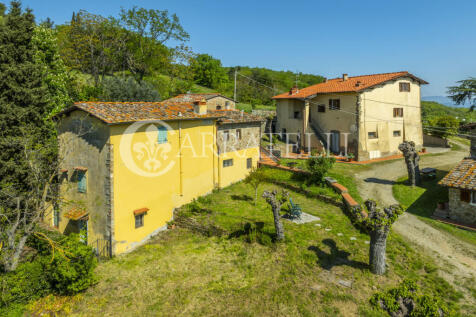 Firenze borgo con pi