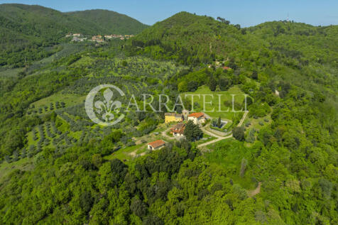 Firenze borgo con pi