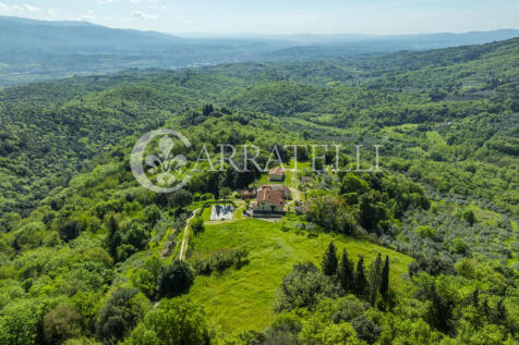 Firenze borgo con pi