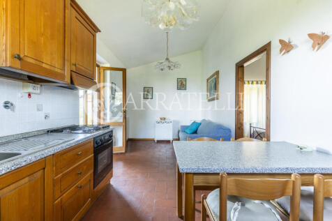 Firenze borgo con pi