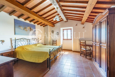 Firenze borgo con pi
