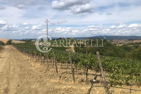 Azienda agricola con