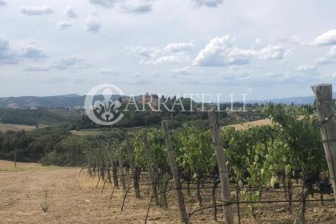 Azienda agricola con