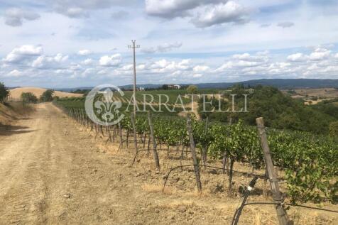 Azienda agricola con