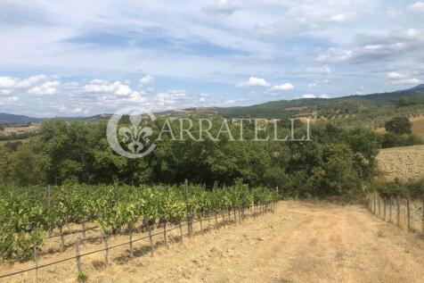 Azienda agricola con