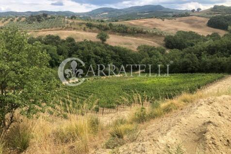 Azienda agricola con