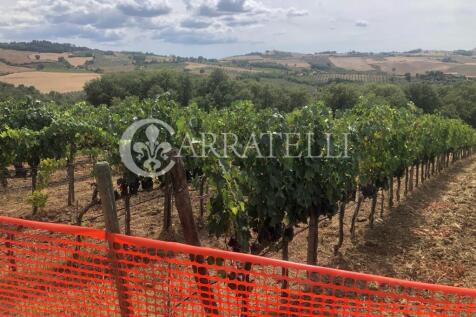 Azienda agricola con