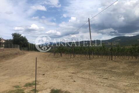 Azienda agricola con