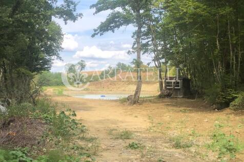 Azienda agricola con