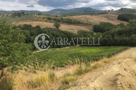 Azienda agricola con