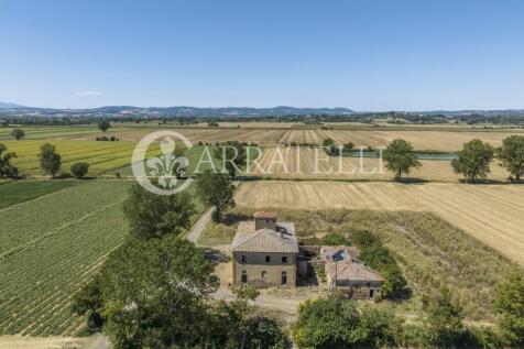 szd_Casale leopoldin