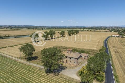 szd_Casale leopoldin