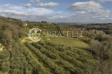 Proprietà a Montepu