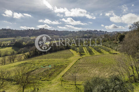 Proprietà a Montepu