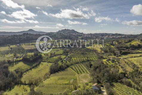 Proprietà a Montepu