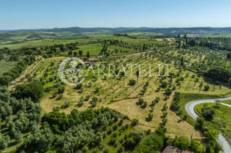 Azienda Agricola a S