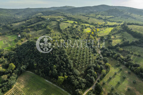 Moderna villa in bio