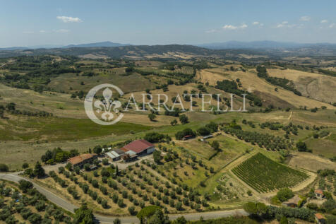 Cinigiano azienda ag
