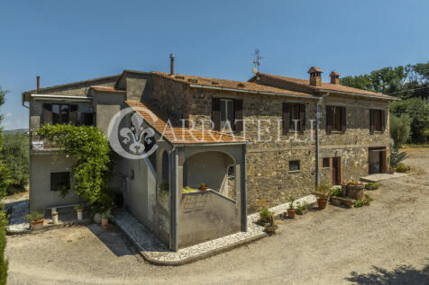Cinigiano azienda ag