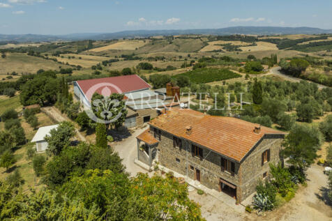 Cinigiano azienda ag