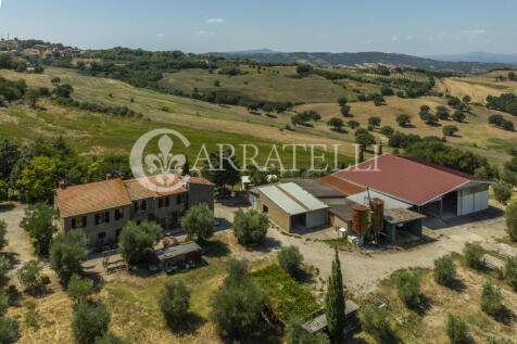 Cinigiano azienda ag