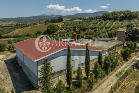 Cinigiano azienda ag