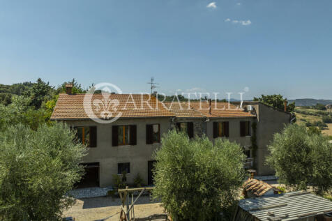Cinigiano azienda ag