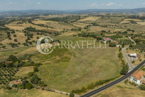 Cinigiano azienda ag