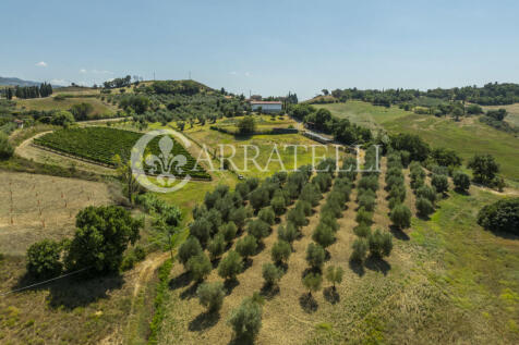 Cinigiano azienda ag