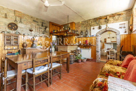 Cinigiano azienda ag