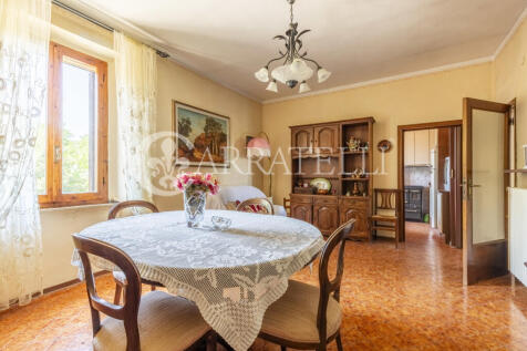 Cinigiano azienda ag