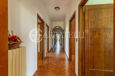 Cinigiano azienda ag