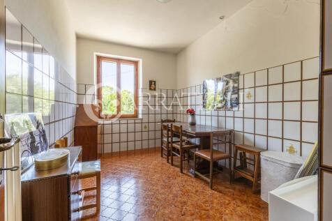 Cinigiano azienda ag