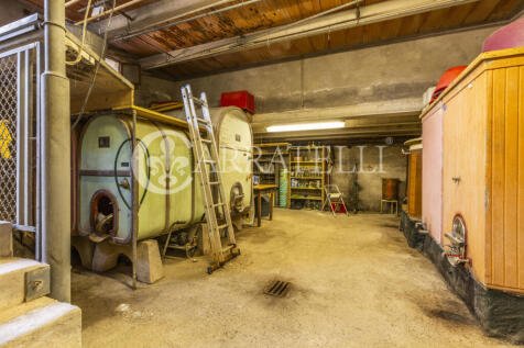 Cinigiano azienda ag
