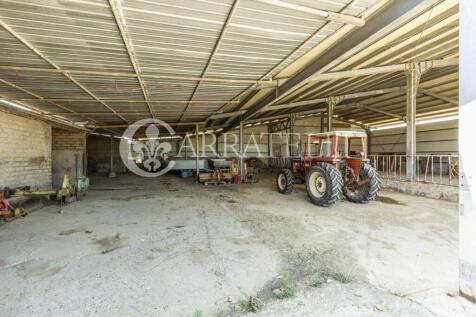 Cinigiano azienda ag
