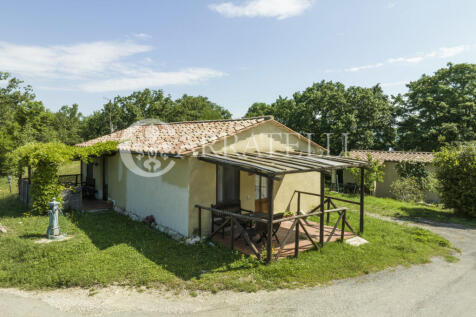 Azienda agricola con
