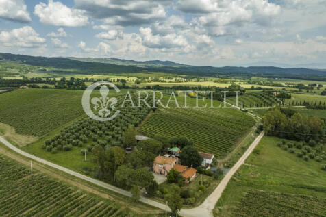Azienda agricola vit