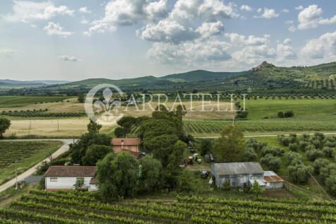 Azienda agricola vit