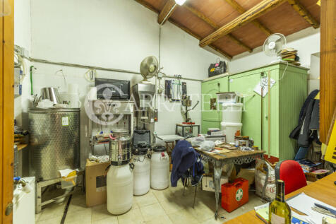 Azienda agricola vit